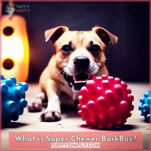 What is Super Chewer BarkBox