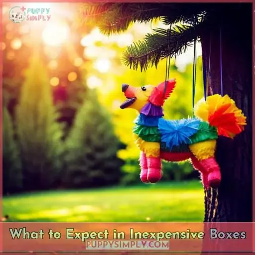 What to Expect in Inexpensive Boxes