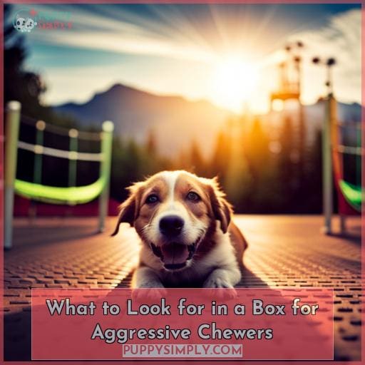 What to Look for in a Box for Aggressive Chewers