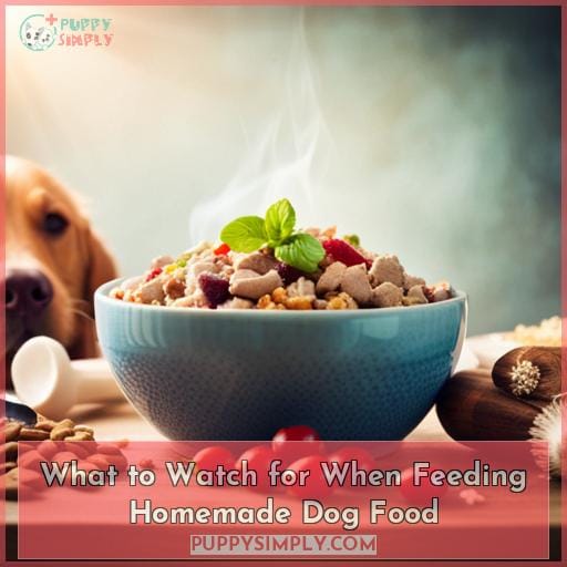 What to Watch for When Feeding Homemade Dog Food