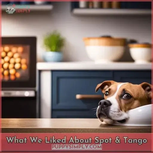 What We Liked About Spot & Tango