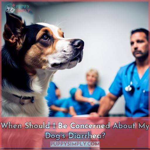 When Should I Be Concerned About My Dog’s Diarrhea