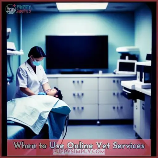 When to Use Online Vet Services