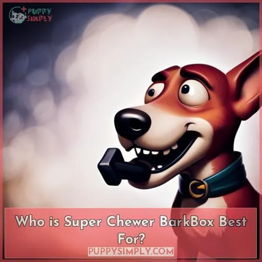 Who is Super Chewer BarkBox Best For