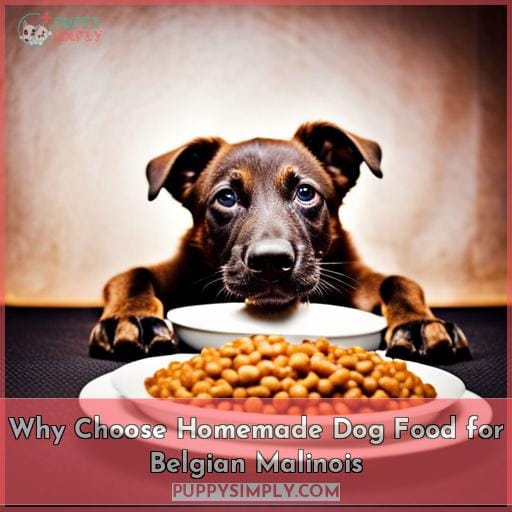 Why Choose Homemade Dog Food for Belgian Malinois