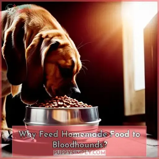 Why Feed Homemade Food to Bloodhounds