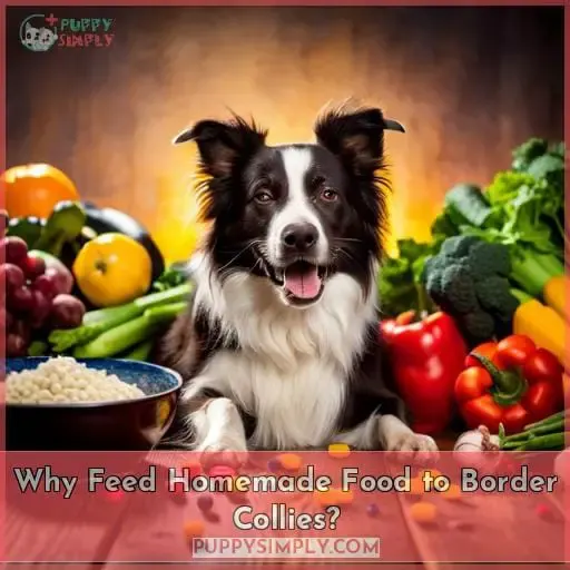 Why Feed Homemade Food to Border Collies