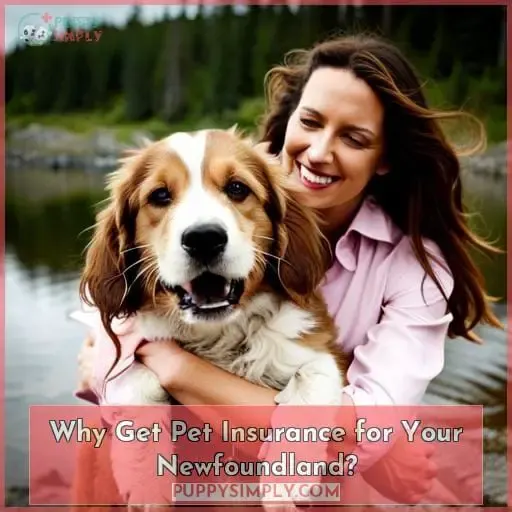 Why Get Pet Insurance for Your Newfoundland