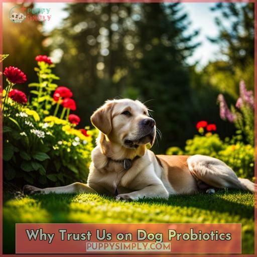 Why Trust Us on Dog Probiotics
