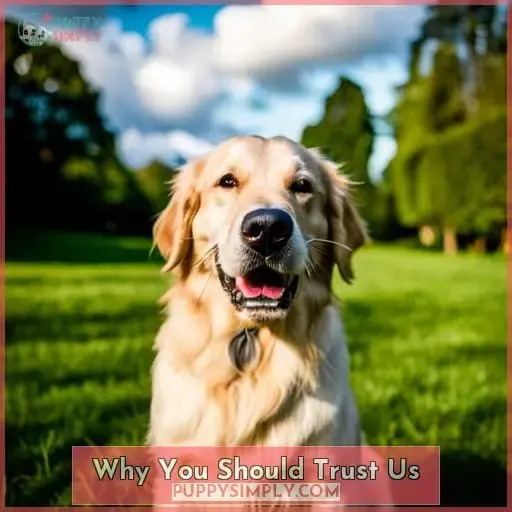 Why You Should Trust Us