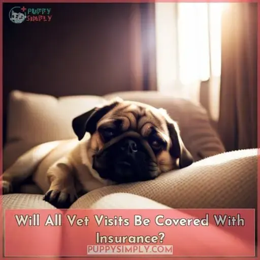 Will All Vet Visits Be Covered With Insurance