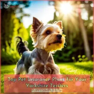 yorkshire terrier pet insurance
