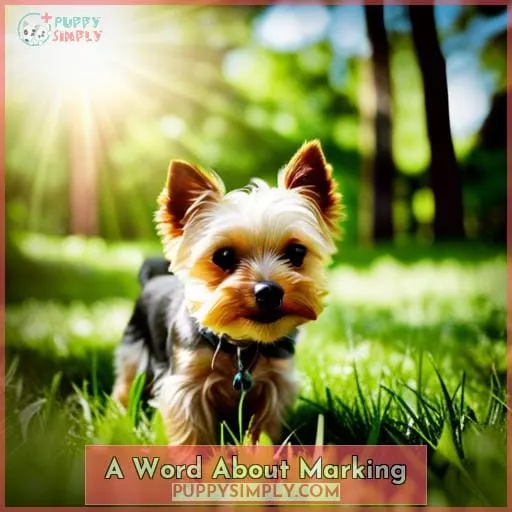 A Word About Marking