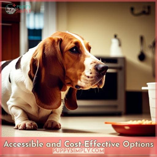 Accessible and Cost-Effective Options