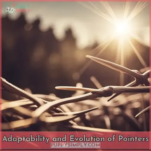 Adaptability and Evolution of Pointers