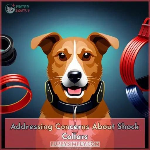 Addressing Concerns About Shock Collars