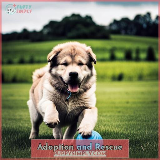 Adoption and Rescue
