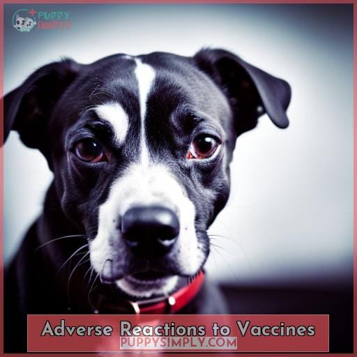 Adverse Reactions to Vaccines