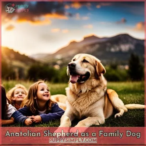 Anatolian Shepherd as a Family Dog