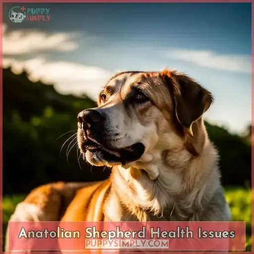 Anatolian Shepherd Health Issues
