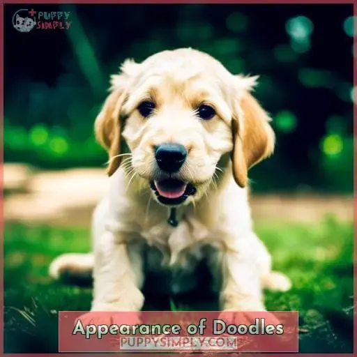 Appearance of Doodles