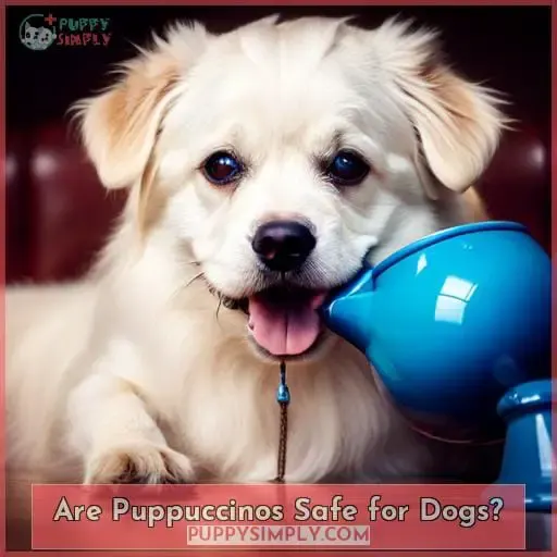 Are Puppuccinos Safe for Dogs