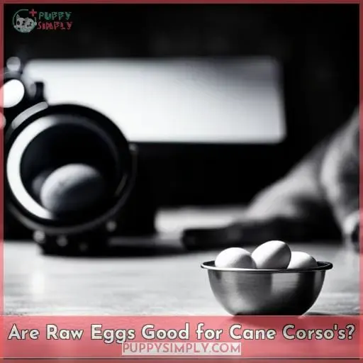 Are Raw Eggs Good for Cane Corso