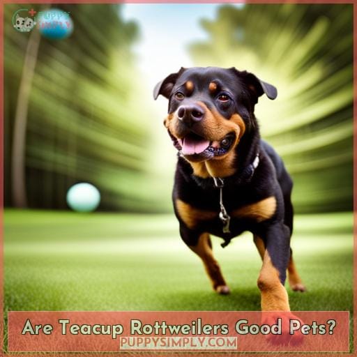 Are Teacup Rottweilers Good Pets