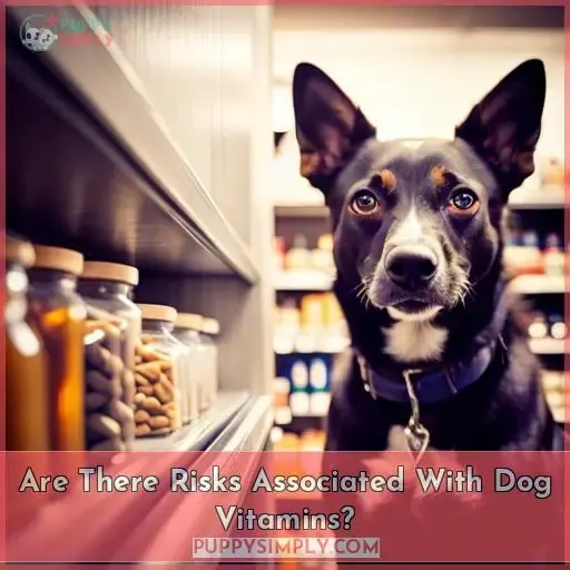 Are There Risks Associated With Dog Vitamins