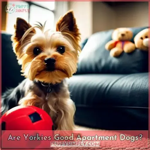 are yorkies good apartment dogs