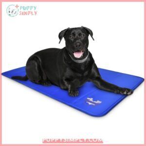 Arf Pets Self-Cooling Solid Gel 139373