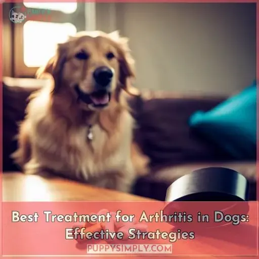 arthritis in dogs best treatment