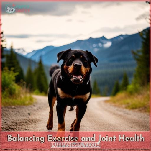 Balancing Exercise and Joint Health