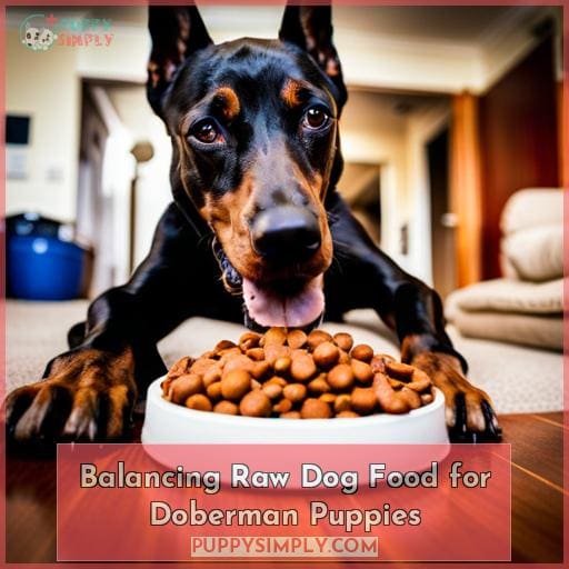 Balancing Raw Dog Food for Doberman Puppies