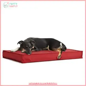 Barkbox - Outdoor Dog Bed