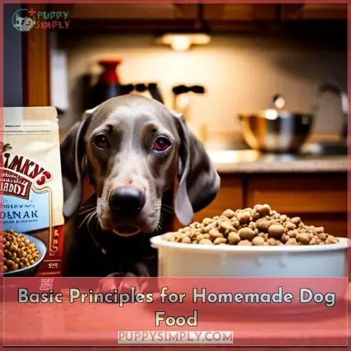 Basic Principles for Homemade Dog Food