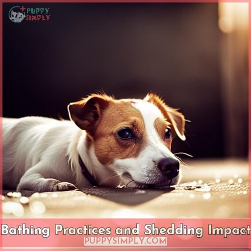 Bathing Practices and Shedding Impact