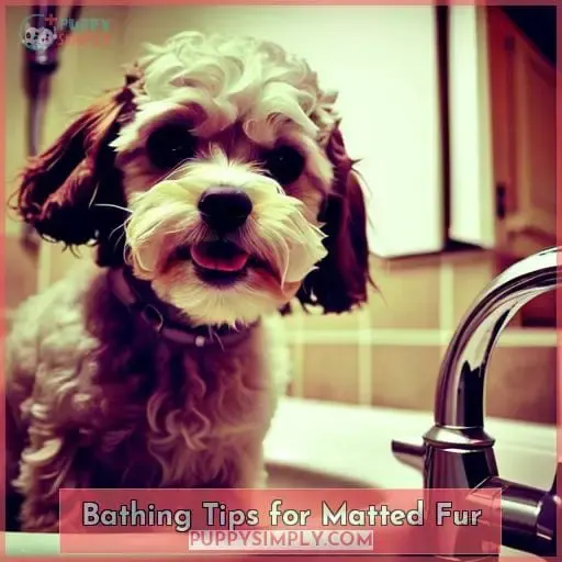 Bathing Tips for Matted Fur