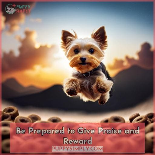 Be Prepared to Give Praise and Reward