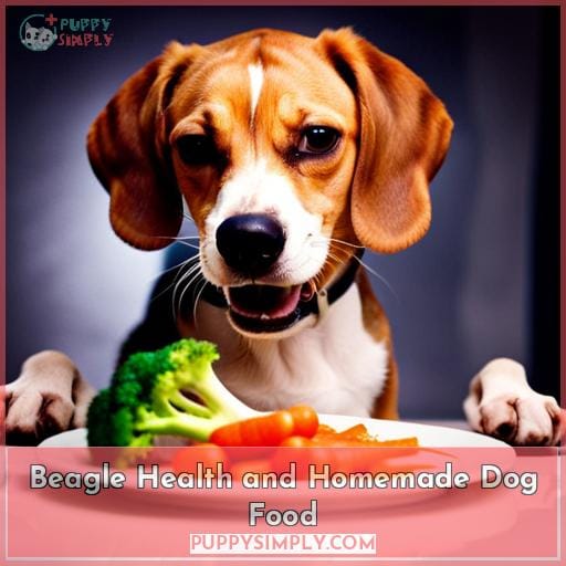 Beagle Health and Homemade Dog Food