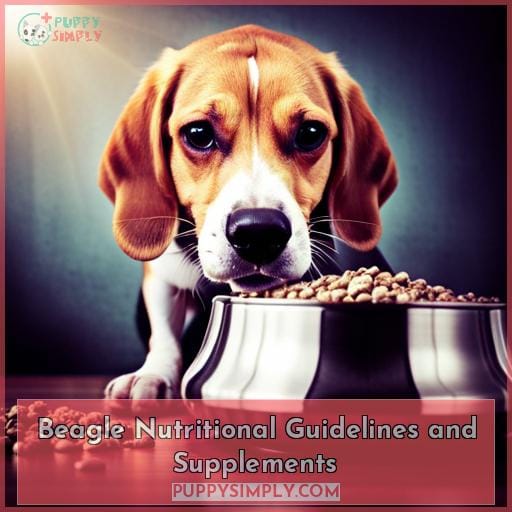 Beagle Nutritional Guidelines and Supplements