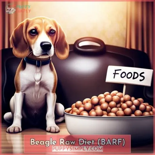 Beagle Raw Diet (BARF)