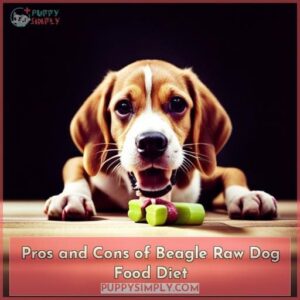beagle raw dog food diet