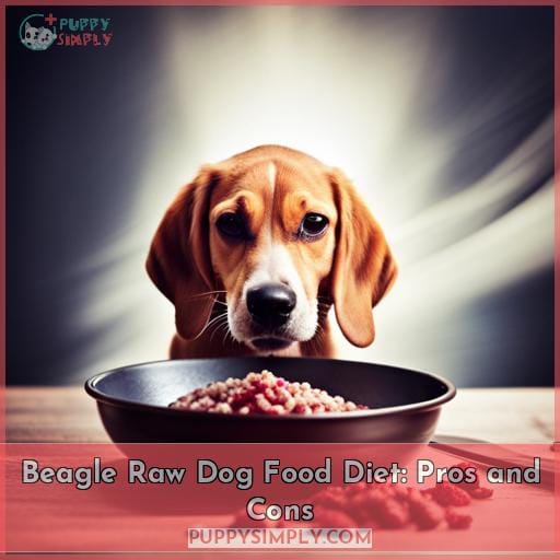 Beagle Raw Dog Food Diet: Pros and Cons