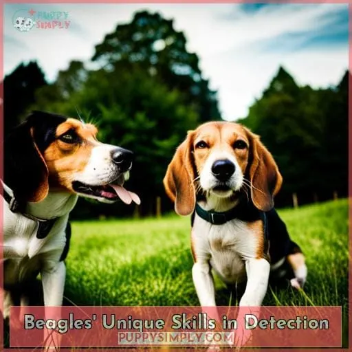 Beagles