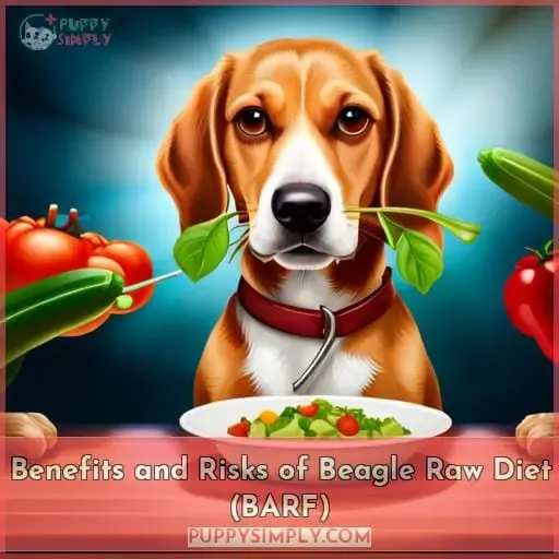 Benefits and Risks of Beagle Raw Diet (BARF)