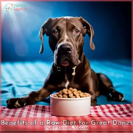 Benefits of a Raw Diet for Great Danes