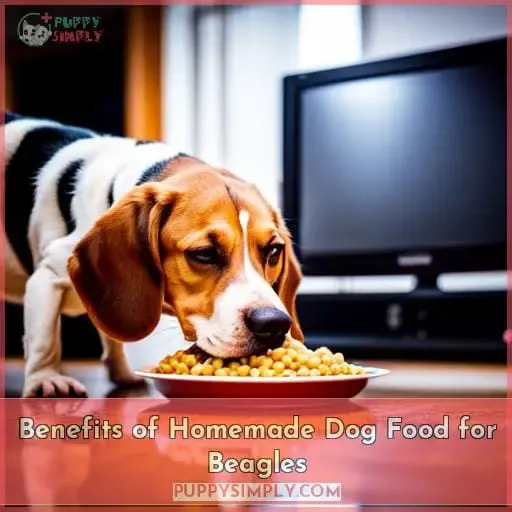 Benefits of Homemade Dog Food for Beagles