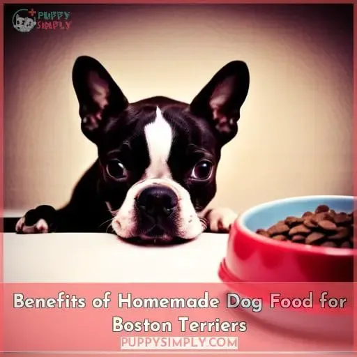 Benefits of Homemade Dog Food for Boston Terriers