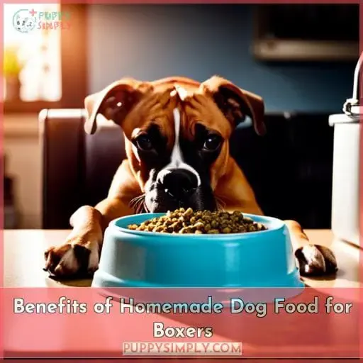 Benefits of Homemade Dog Food for Boxers